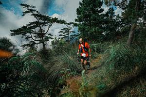 BIB: 
                            <button type="button" onclick="openModal(25258067)" class="btn btn-primary btn-sm float-right btn-popup" data-toggle="modal" data-target=".modal-high-quality">
                        <i class="fas fa-shopping-cart"></i> Add to Cart
                    </button>
                                            <button type="button" onclick="isThisMe(25258067, true)" class="btn btn-success btn-sm float-right btn-popup btn-isme hidden" data-toggle="tooltip" data-placement="bottom" title="นี่คือรูปของคุณใช่ไหม คลิกที่นี่เพื่อเอาเข้าอัลบั้ม">
                        <i class="fas fa-plus"></i> Add to album
                    </button>
                    <button type="button" onclick="isThisMe(25258067, false)" class="btn btn-warning btn-sm float-right btn-popup btn-isnotme hidden">
                        <i class="fas fa-ban"></i> Remove from album
                    </button>